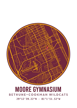 Bethune Cookman Wildcats