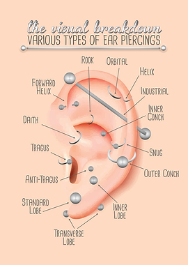 Ear Piercing Chart