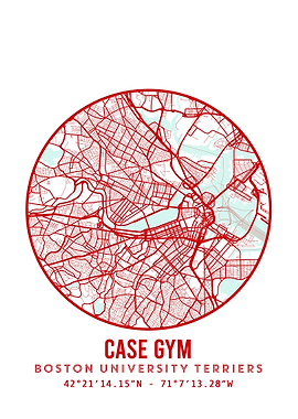 Boston University Terriers