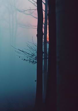 Enigmatic Cinematic Forest