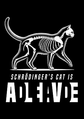 Schrdingers Cat Physics