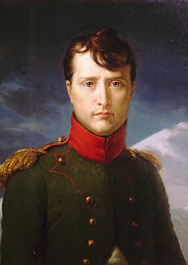 Napoleon Premier Consul