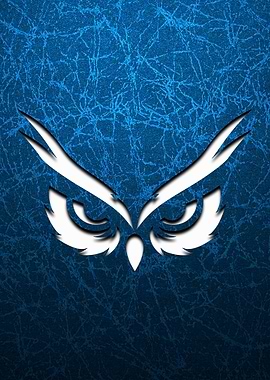 Owl With Eyes Blue Texture