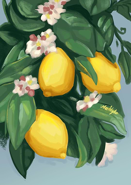 Lemon Tree