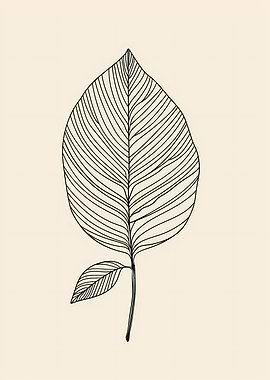 Line Art Leaf