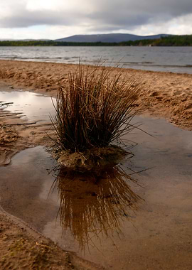 Loch Morlich in Scotland