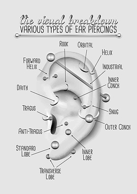 Ear Piercing Chart