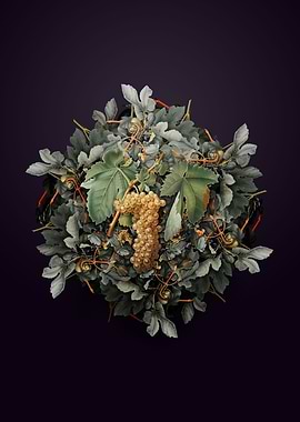 Trebbiano Grapes Wreath