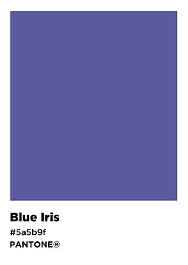 Blue iris color pantone