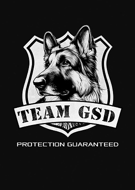 Team GSD