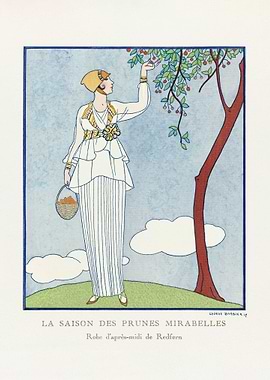 Mirabelle Plum Season