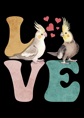 Cockatiel Parrot LOVE