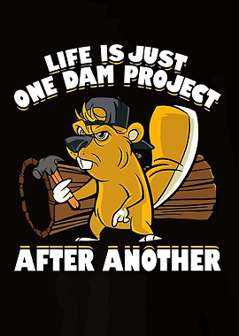 Its Just One Dam Project