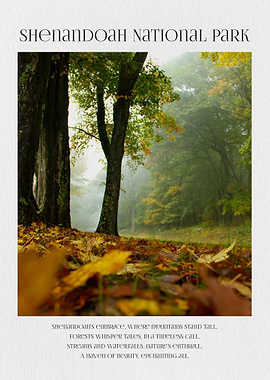 Shenandoah National Park