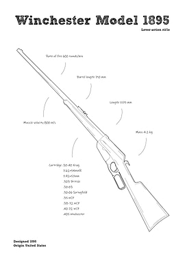 Winchester Model 1895 gun