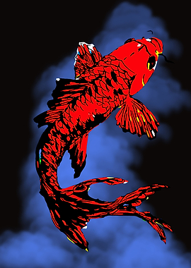 the fish koi