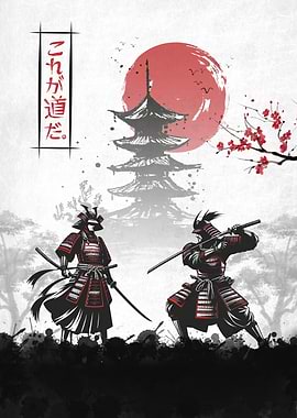 Samurai Warriors