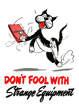 cats animal quote funny