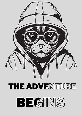 Feline Explorer First Qu