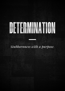 DETERMINATION