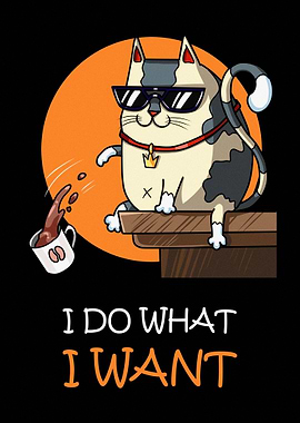 I Do What I Want Cat