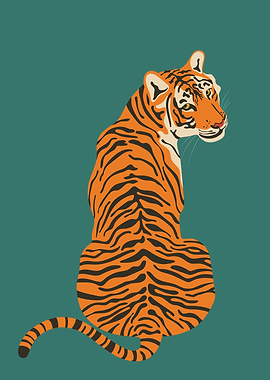 Curious Tiger