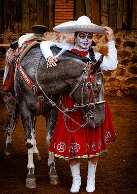 mexico girl disguise