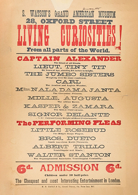 Living curiosities poster