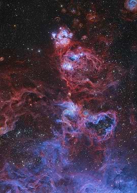 Nebulae in another galaxy