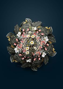 Scotch Rose Bloom Wreath