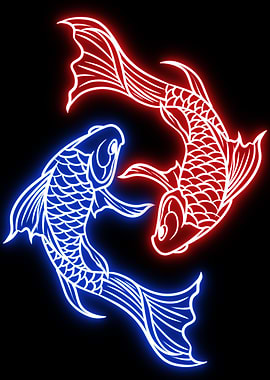 Yin yang koi fish