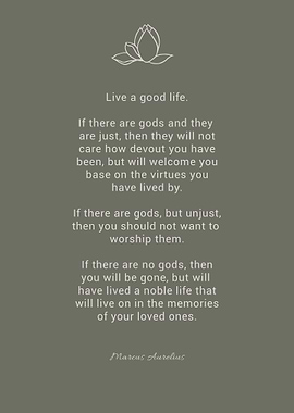 Marcus Aurelius Philosophy