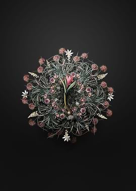 Spring Meadow Saffron