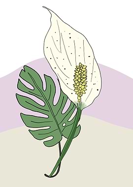 Interior white plant 2