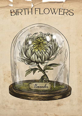 november birth monh flower