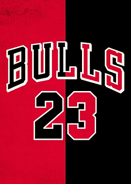 Chicago Bulls
