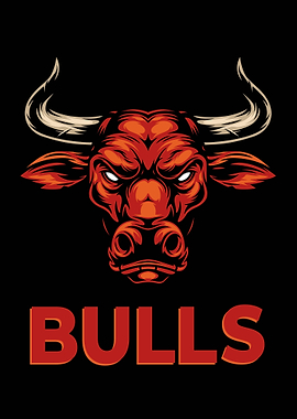 Retro Bulls