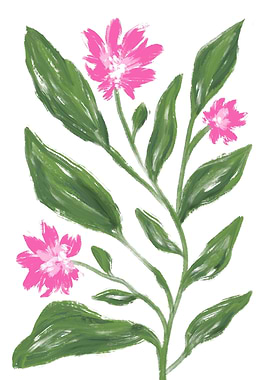 Corn Flowers painting