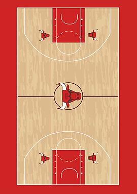 Chicago Bulls Basket
