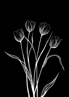 Tulips White on Black