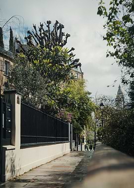 Lush Green City Path