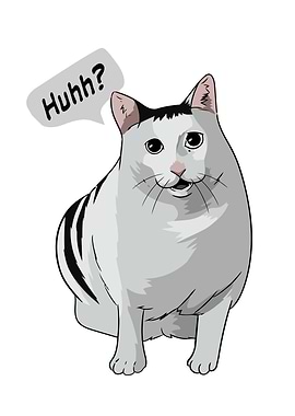 Huhh Cat Meme Funny