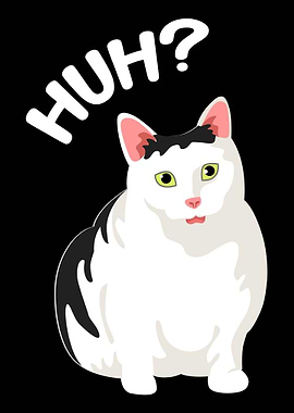 Funny Animal Cat Meme