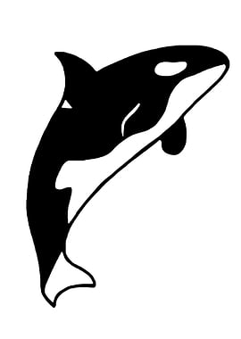 Orca