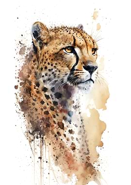 Cheetah