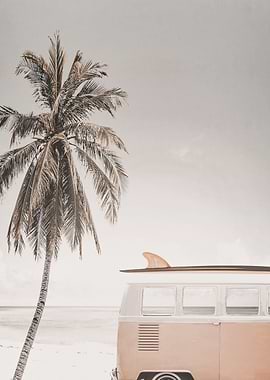 Tropical Palms Paradise