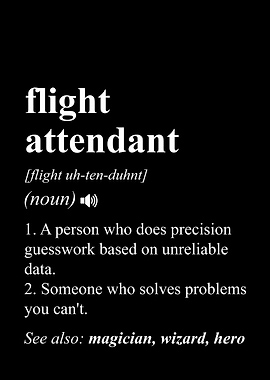 Flight Attendant Funny Job