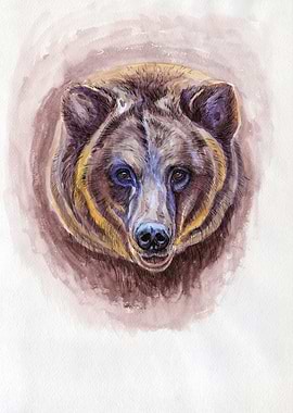 Bear portrait