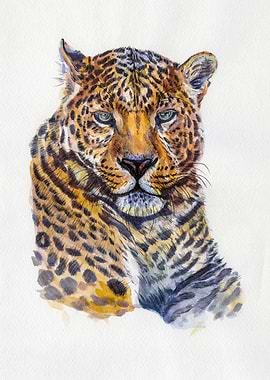Leopard portrait