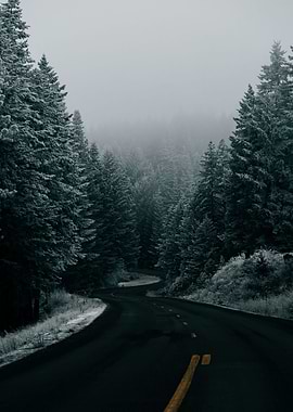 Snowy Winter Road